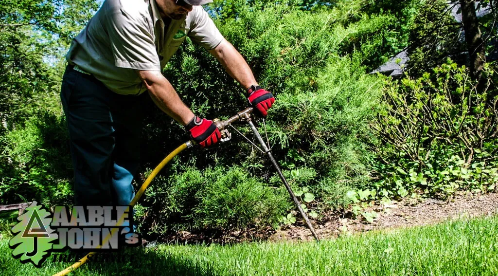Tree fertilization service in Marietta and Cobb County, GA