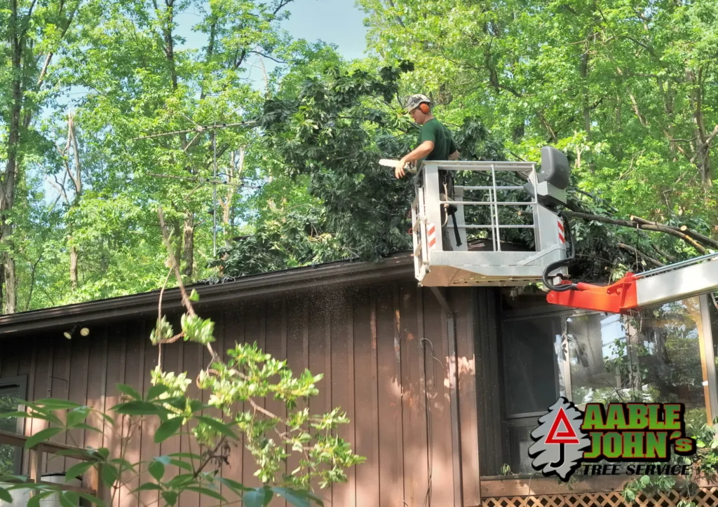 Aable John's Tree Service crew on a tree removal job in Crabapple, GA