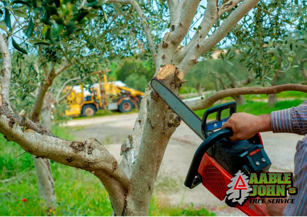 Aable John's Tree Service crew on a large-lot job in Milton, GA