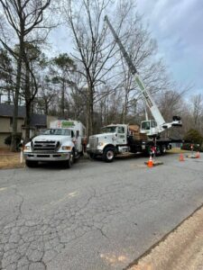 Aable John's Tree Service project photo