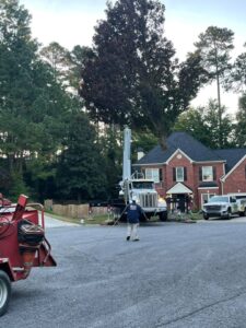 Aable John's Tree Service project photo
