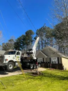 Aable John's Tree Service project photo