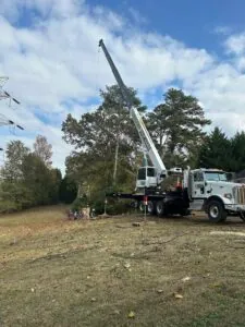 Aable John's Tree Service project photo