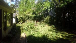Aable John's Tree Service project photo