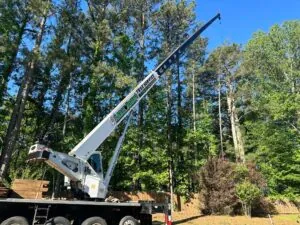 Aable John's Tree Service project photo