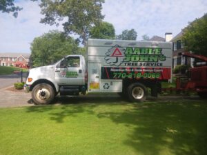 Aable John's Tree Service project photo