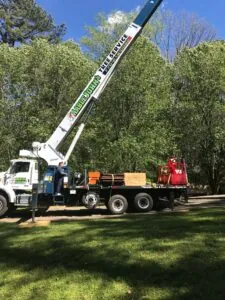 Aable John's Tree Service project photo