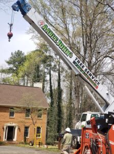 Aable John's Tree Service project photo