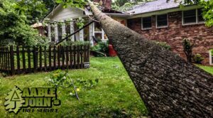 Aable John's Tree Service project photo