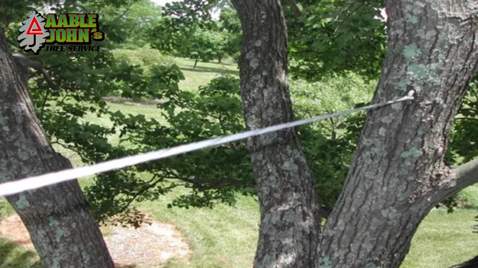 Aable John's Tree Service crew completing a tree cutting job in Marietta GA
