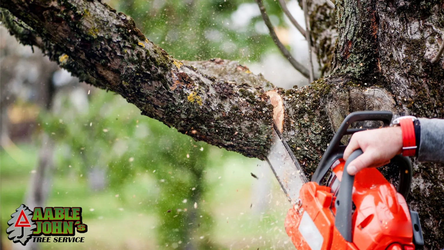 Professional tree cutting by Aable John's in Cobb County GA