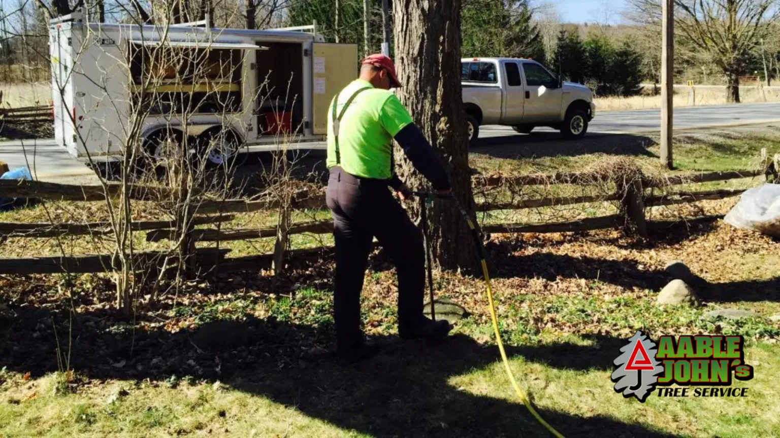 Aable John's Tree Service completing a tree cutting job in Cobb County
