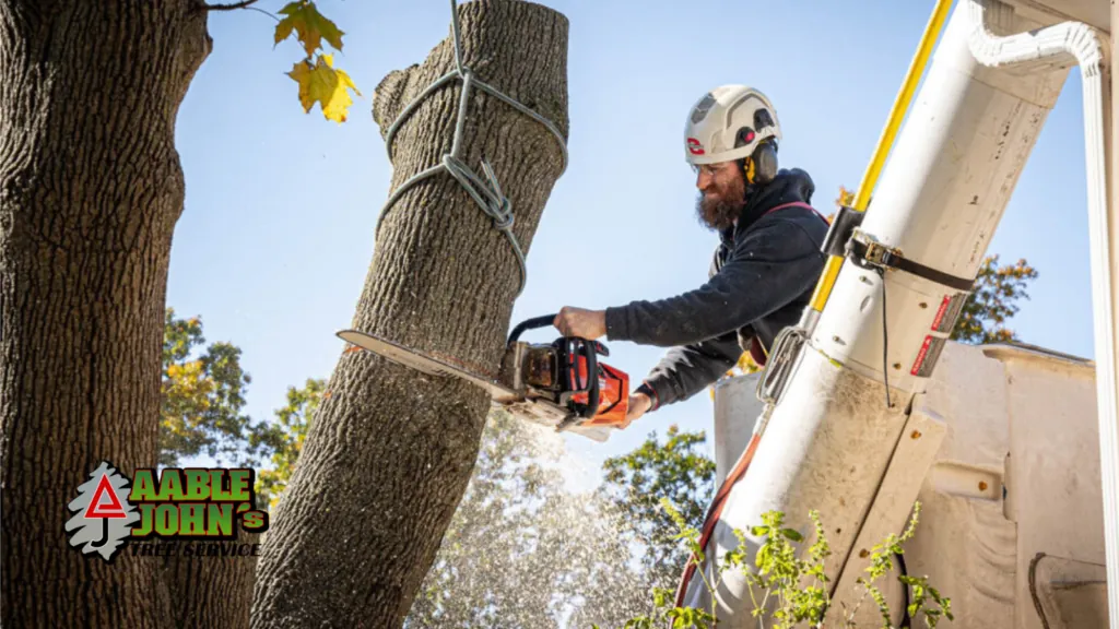 Aable John's Tree Service tree cutting job in Marietta GA